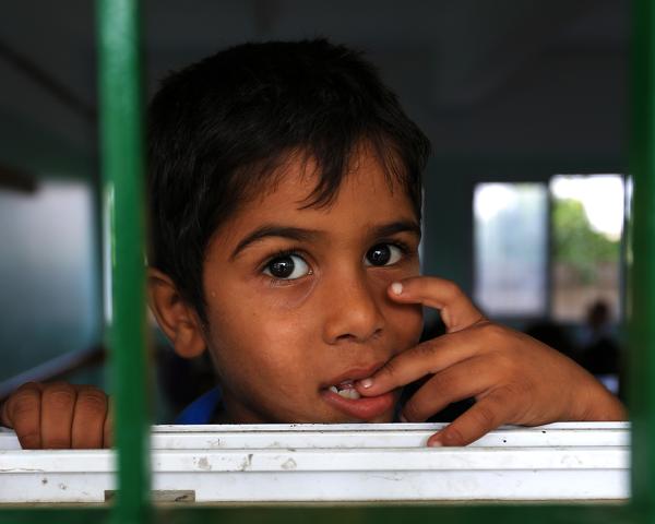 Beyond the Tragedy: Rethinking Higher Education for Gaza’s Future